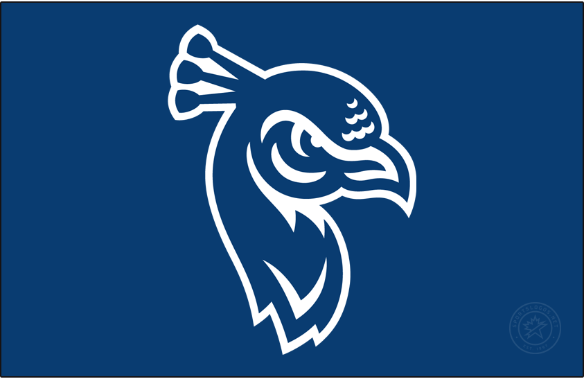 St. Peters Peacocks 2020-pres primary dark logo DIY iron on transfer (heat transfer)